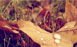 下周重大事件，好运降临
