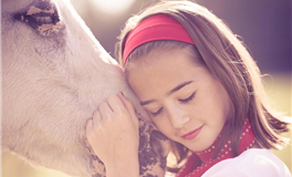 猫咪占星：处女座2026年上半年运势解析