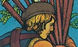 爱莎公主射手座2026年2月塔罗运势