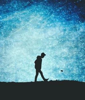 静电鱼2026年2月星座运势