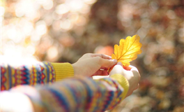 Alex大叔摩羯座2026年3月运势