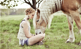 神煞组合的吉凶解析