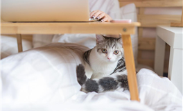 柒爸本周星座运势（2.23-3.1）“带福利”的水星逆行