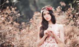 Pandora占星小巫白羊座2026年4月运势