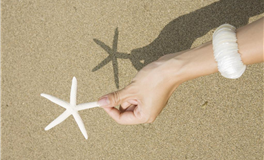 情绪稳定，擅长自我管理的星座