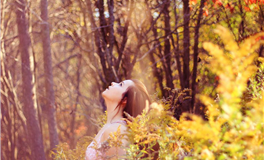 苏民峰：属猪人2026年4月运势/壬辰月运势（4.5-5.4）