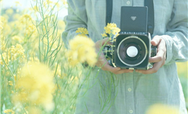 星座女神射手座2026年5月运势