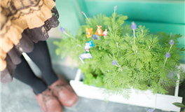 Ezoey徐佩玲天蝎座一周运势（4.20-4.26）