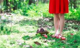 表面糊涂，实际很精明的星座