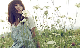 郑博士每日生肖运势2026年4月29日