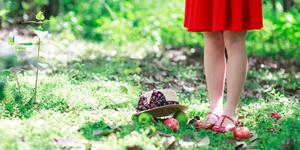 表面糊涂，实际很精明的星座