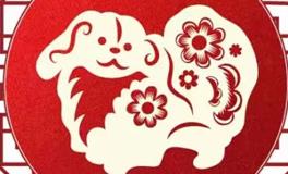 董易林生肖狗2026年5月运势